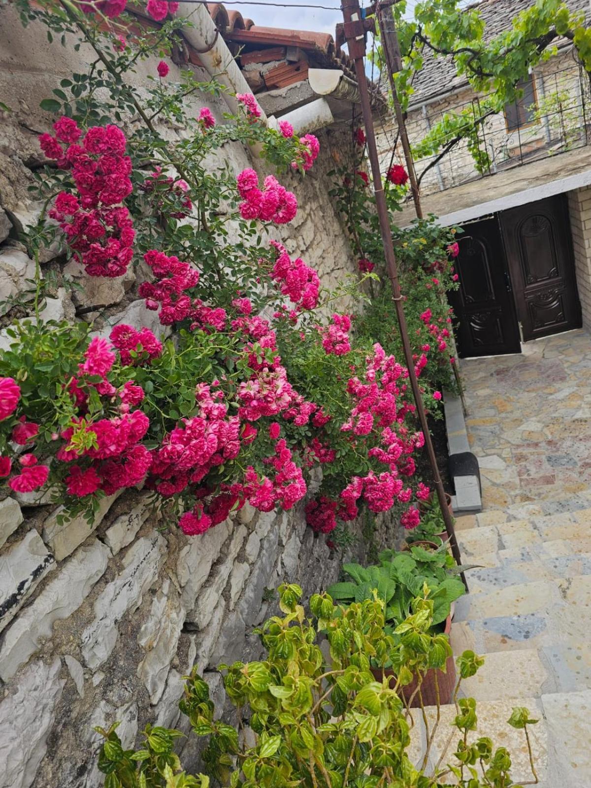 Luigi Guest House Gjirokaster Bagian luar foto
