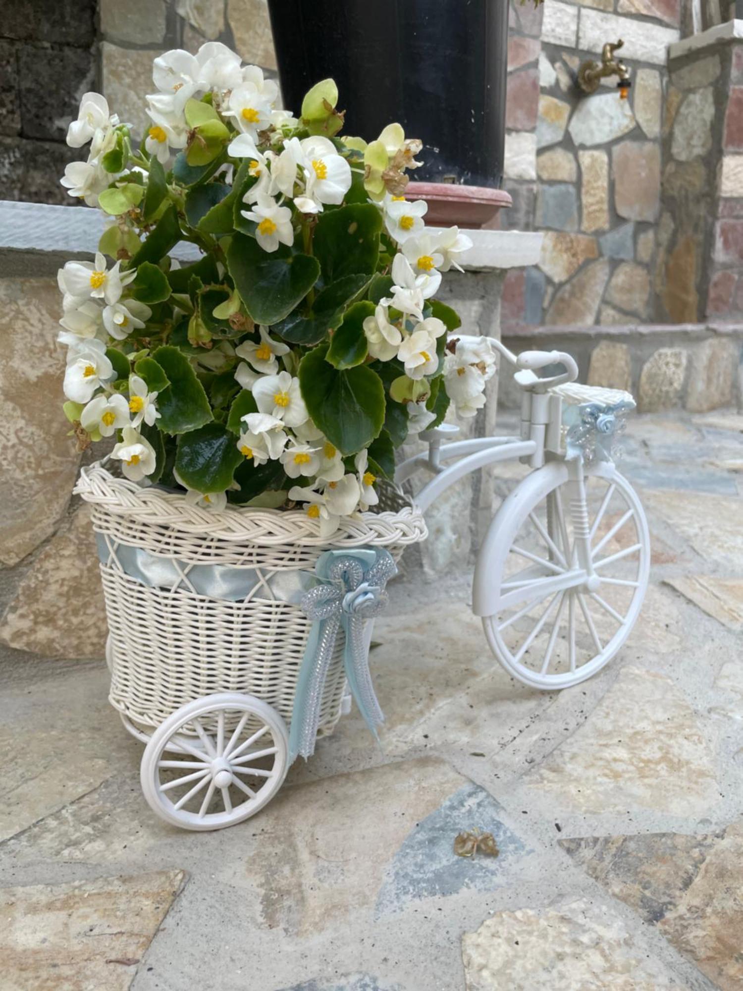 Luigi Guest House Gjirokaster Bagian luar foto